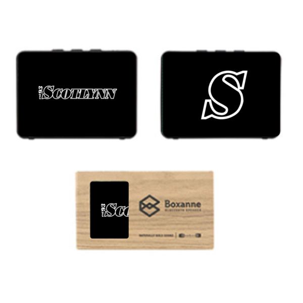 BOXANNE WIRELESS SPEAKER